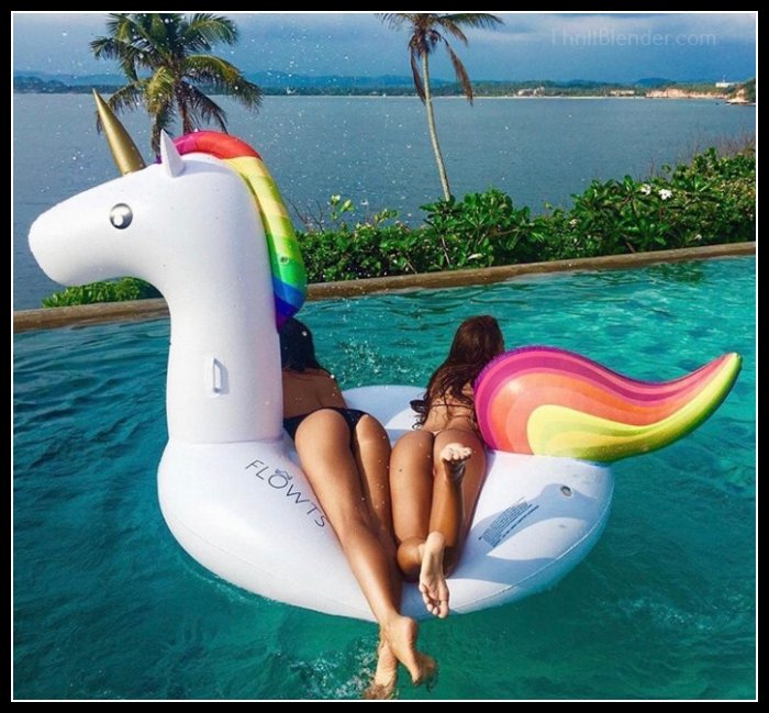 new-funny-pictures35